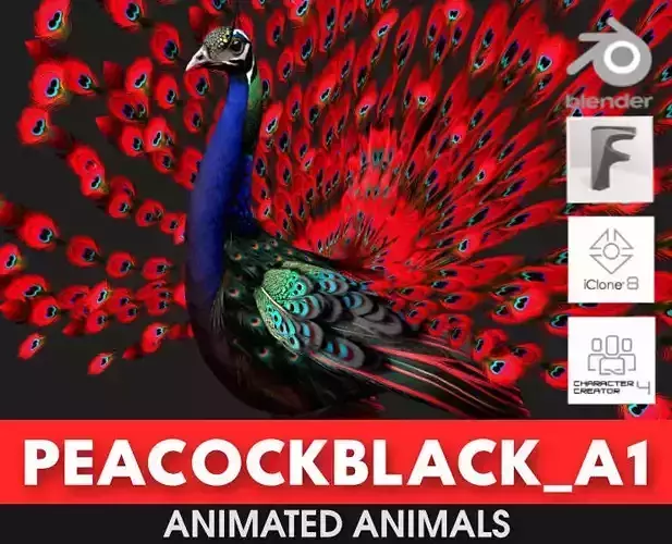 Peacock Black-A1 3D model