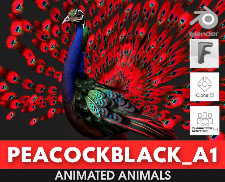 Peacock Black-A1 3D model_0