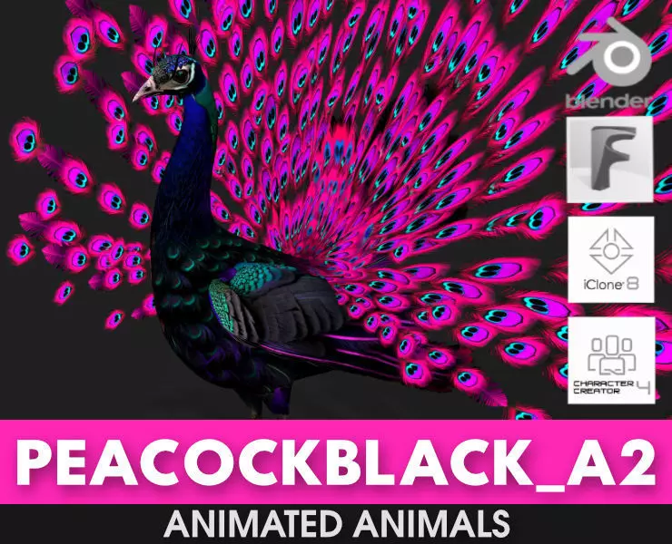 Peacock Black-A2 3D model_0