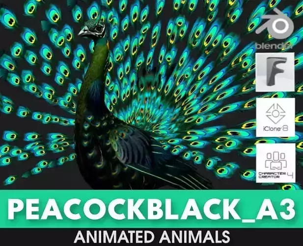 Peacock Black-A3 3D model