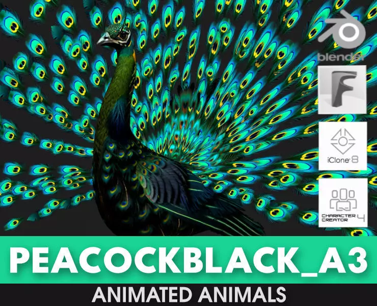 Peacock Black-A3 3D model_0