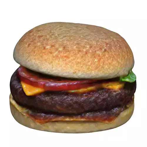 Realistic Burger