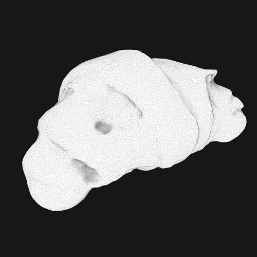 Realistic Croissant 3D model 7