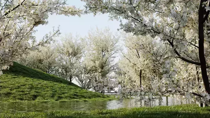 Prunus spinosa c 3D model