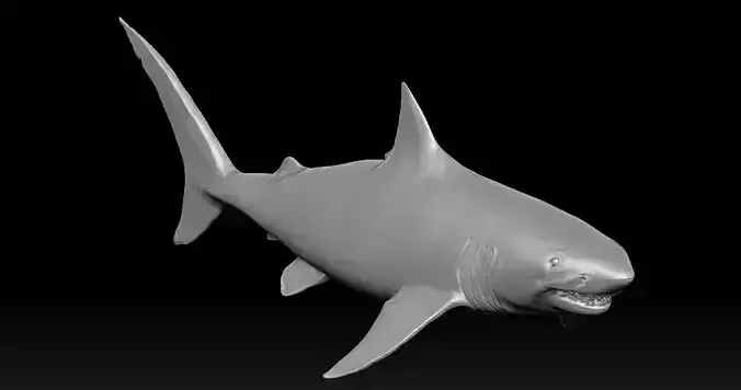 Great white Shark - 3D Print Model