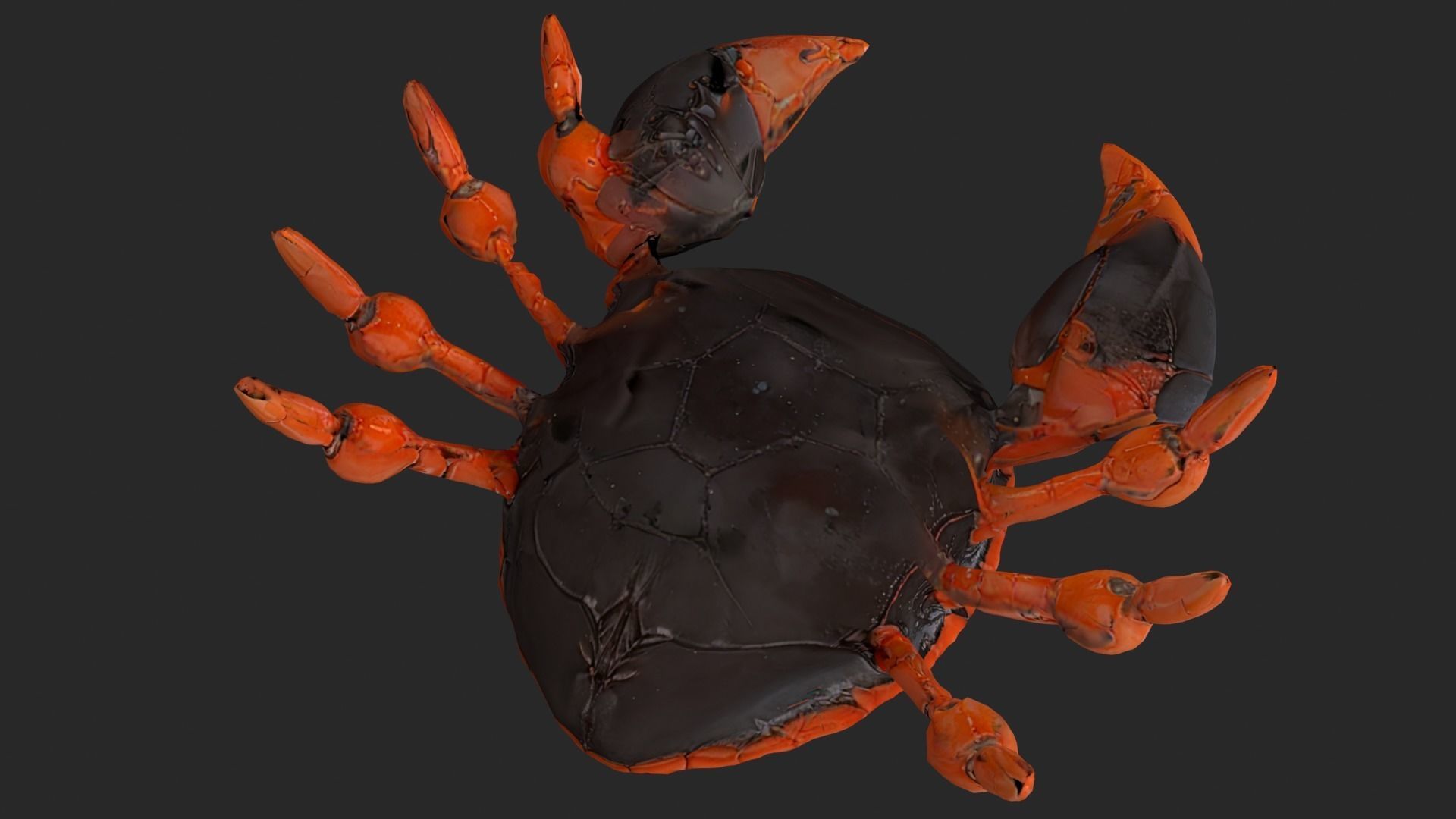 Crab Cartoon Low-poly 3D model_10