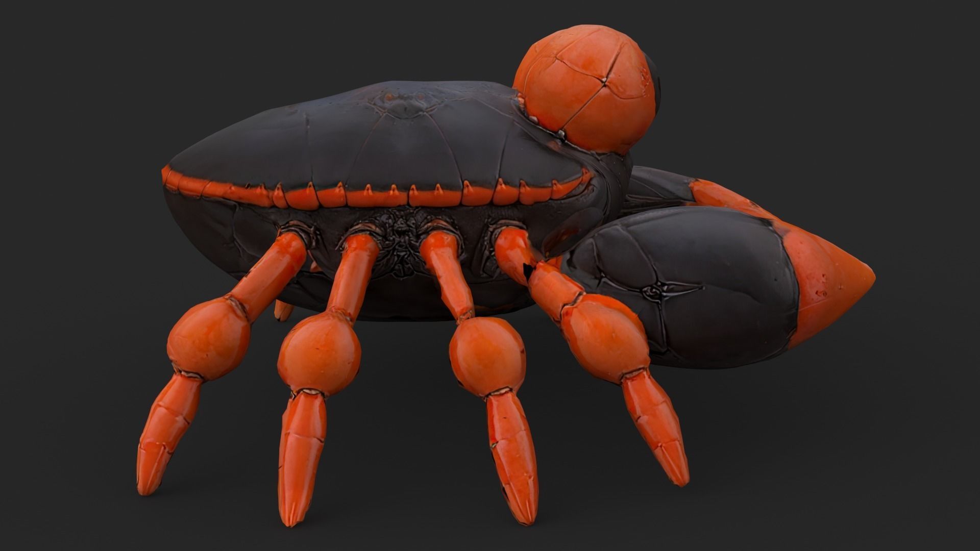 Crab Cartoon Low-poly 3D model_7