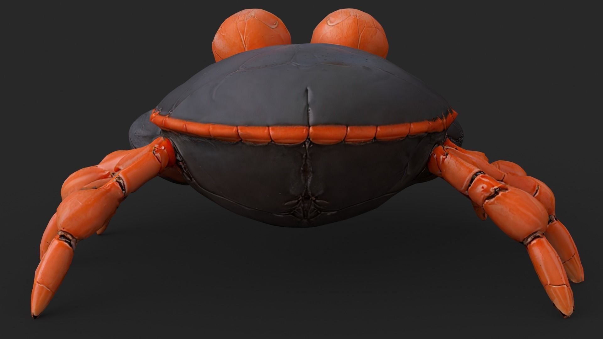 Crab Cartoon Low-poly 3D model_6