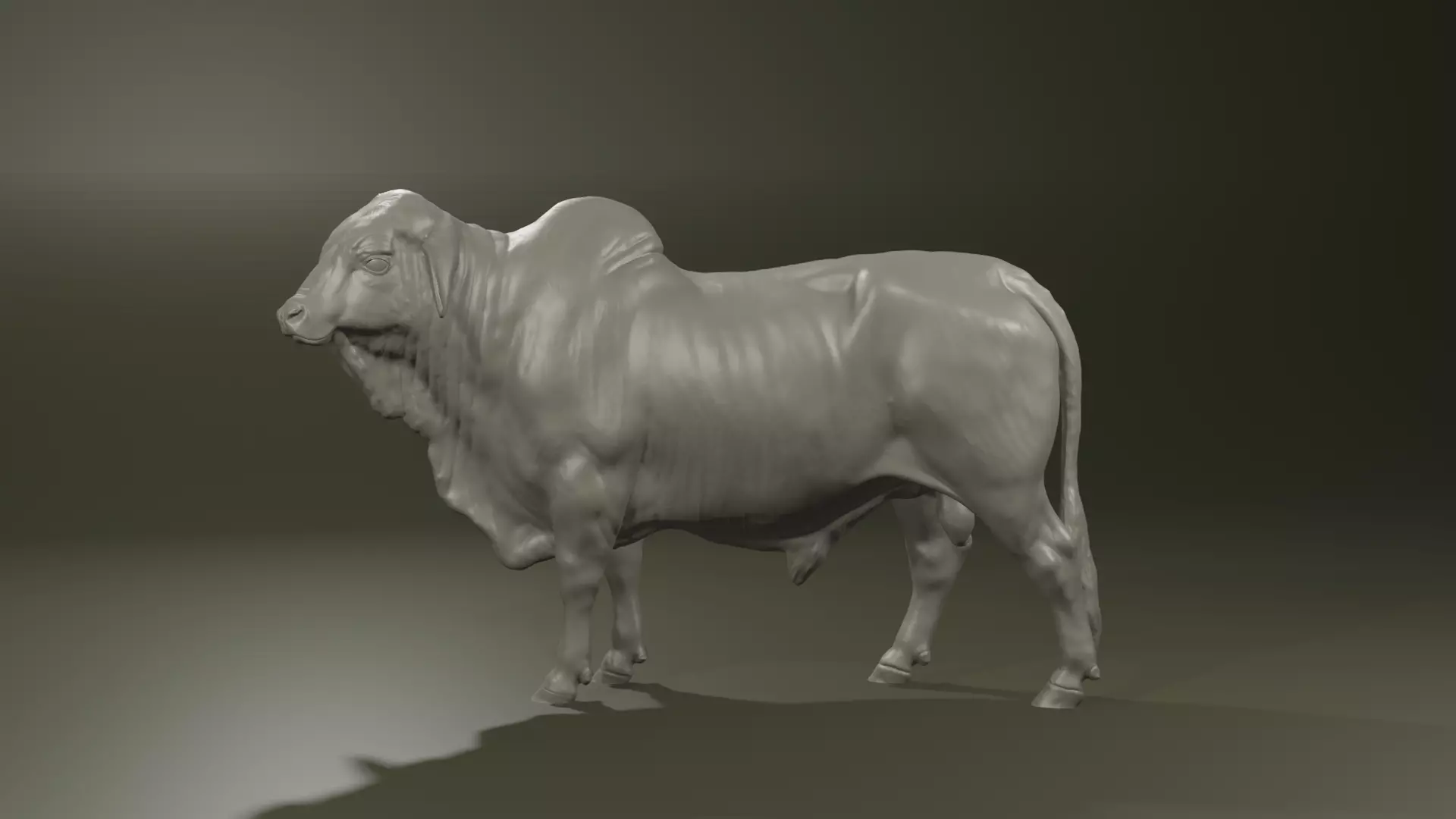Zebu Brahman cow bull realistic model for printing 3D print model_0