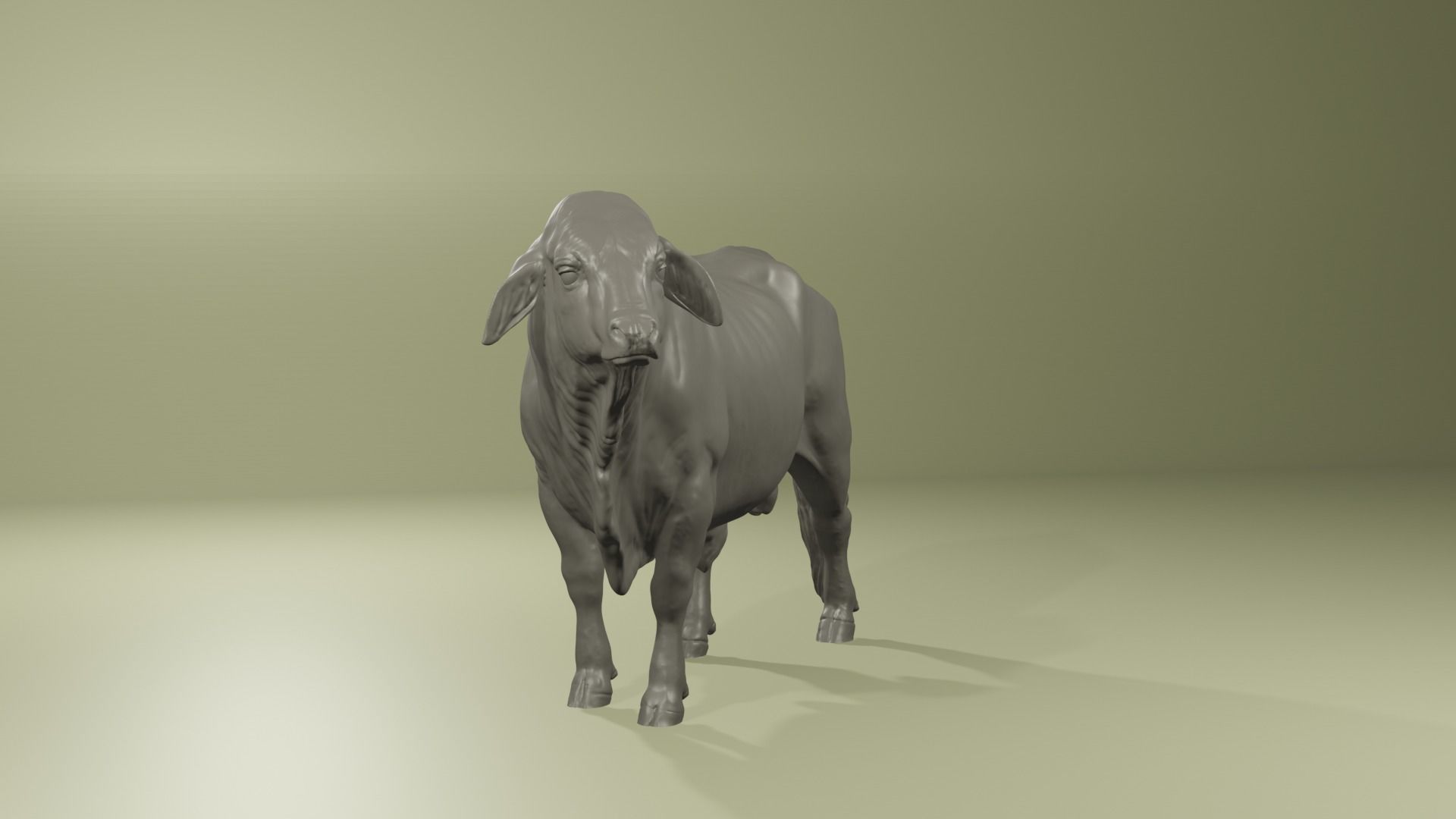 Zebu Brahman cow bull realistic model for printing 3D print model_8