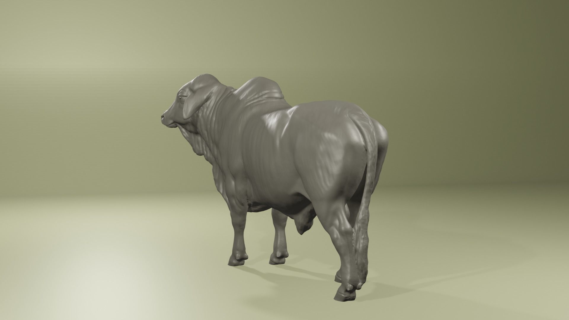 Zebu Brahman cow bull realistic model for printing 3D print model_4