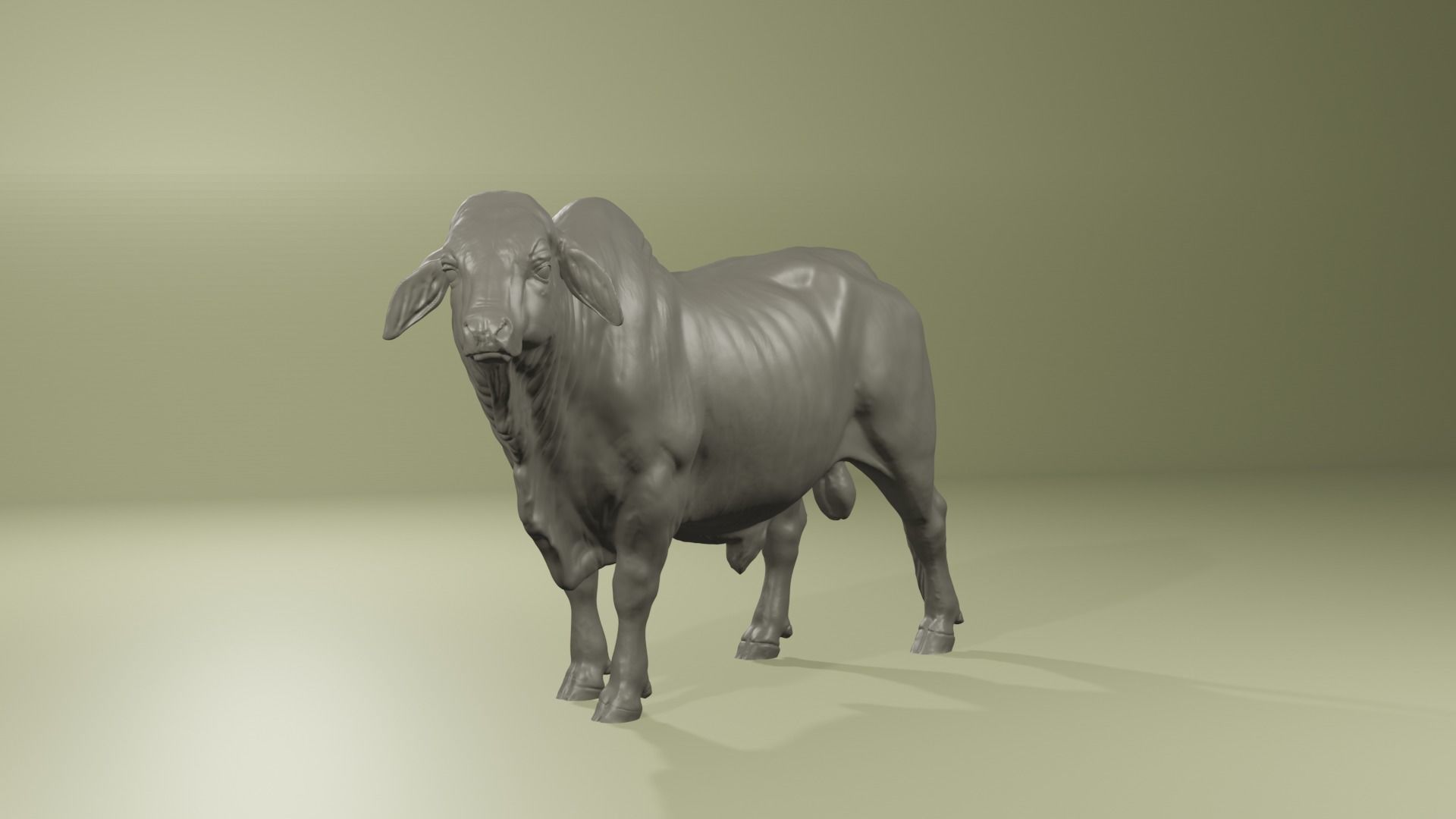 Zebu Brahman cow bull realistic model for printing 3D print model_9
