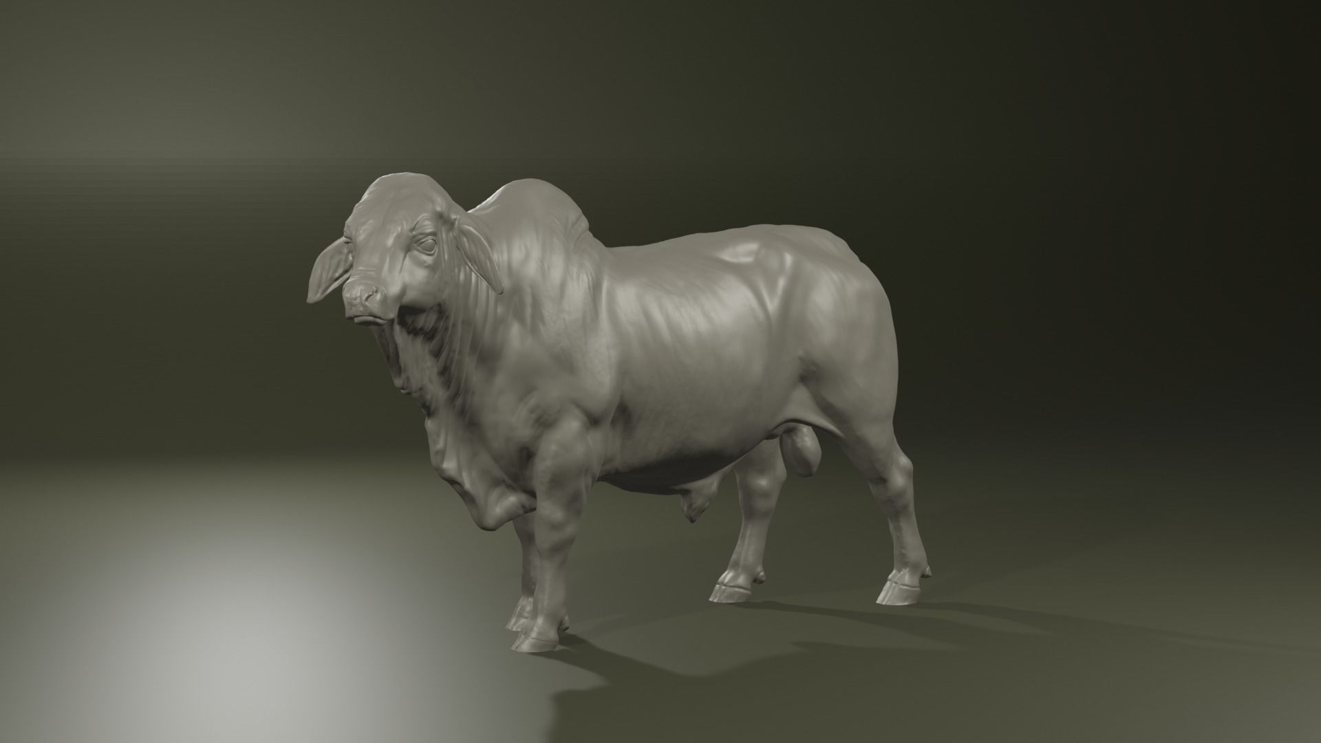 Zebu Brahman cow bull realistic model for printing 3D print model_3