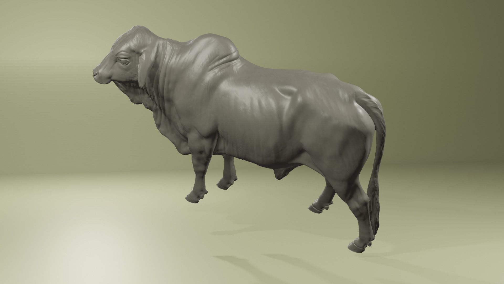 Zebu Brahman cow bull realistic model for printing 3D print model_2