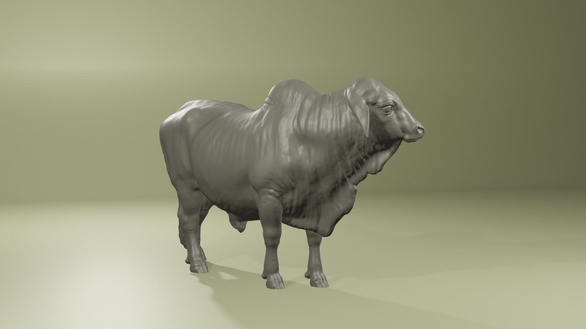 Zebu Brahman cow bull realistic model for printing 3D print model_6