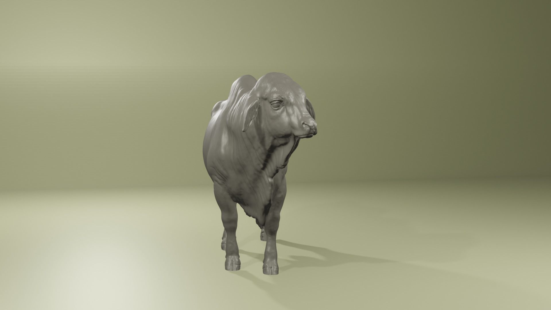 Zebu Brahman cow bull realistic model for printing 3D print model_7