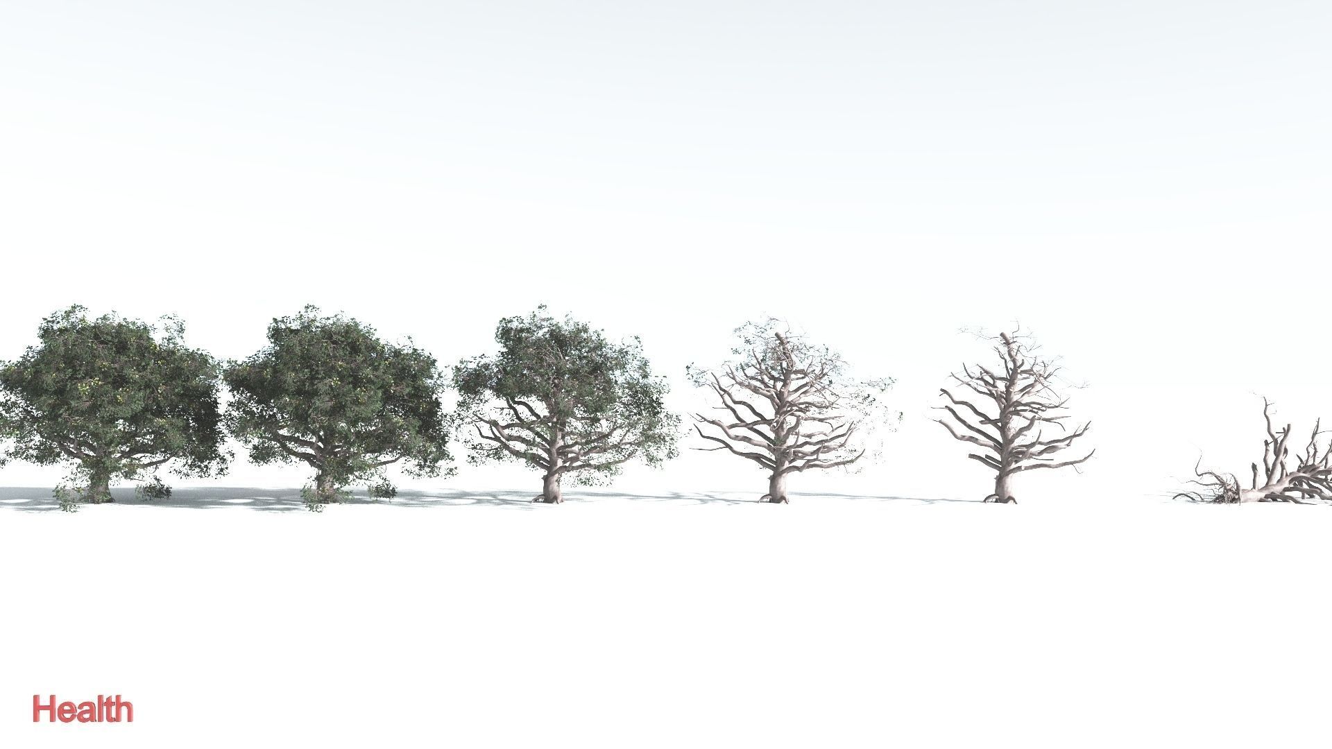 EVERYPlant Portia Tree 3 --14 Models-- 3D model_2