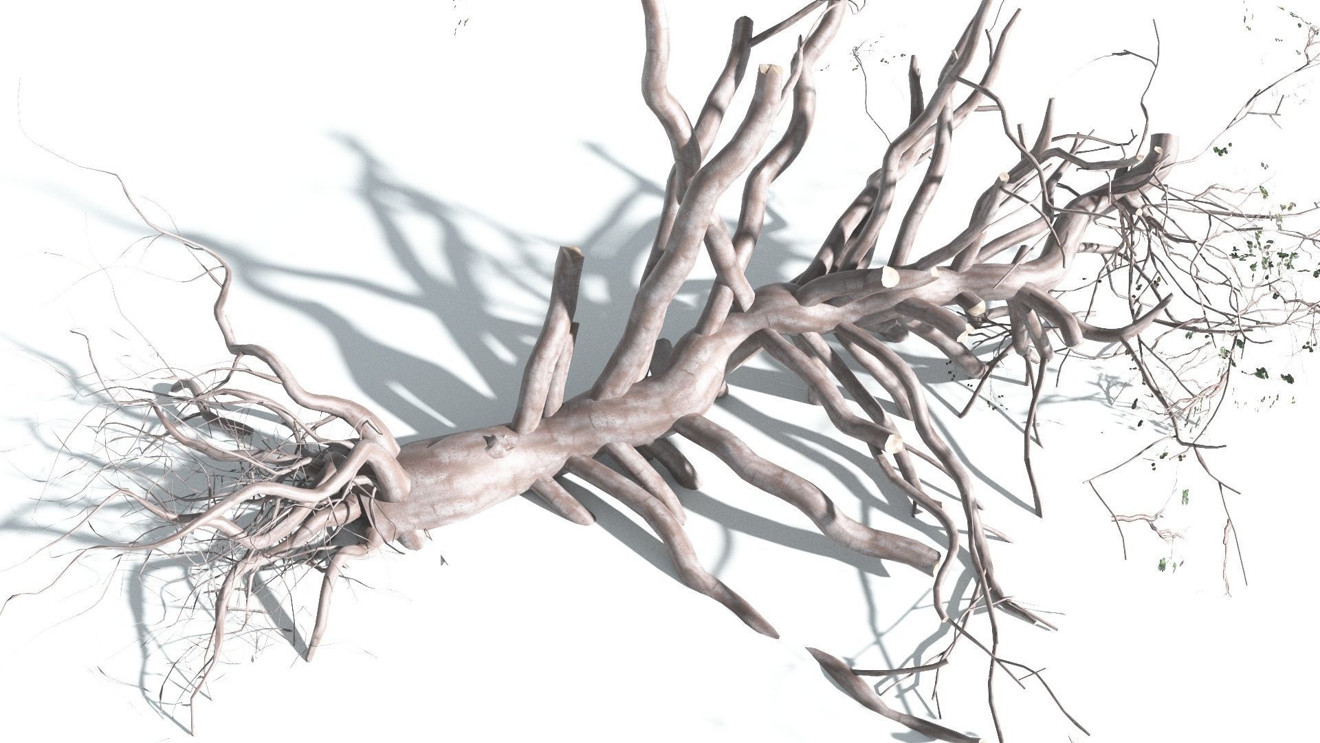 EVERYPlant Portia Tree 3 --14 Models-- 3D model_20