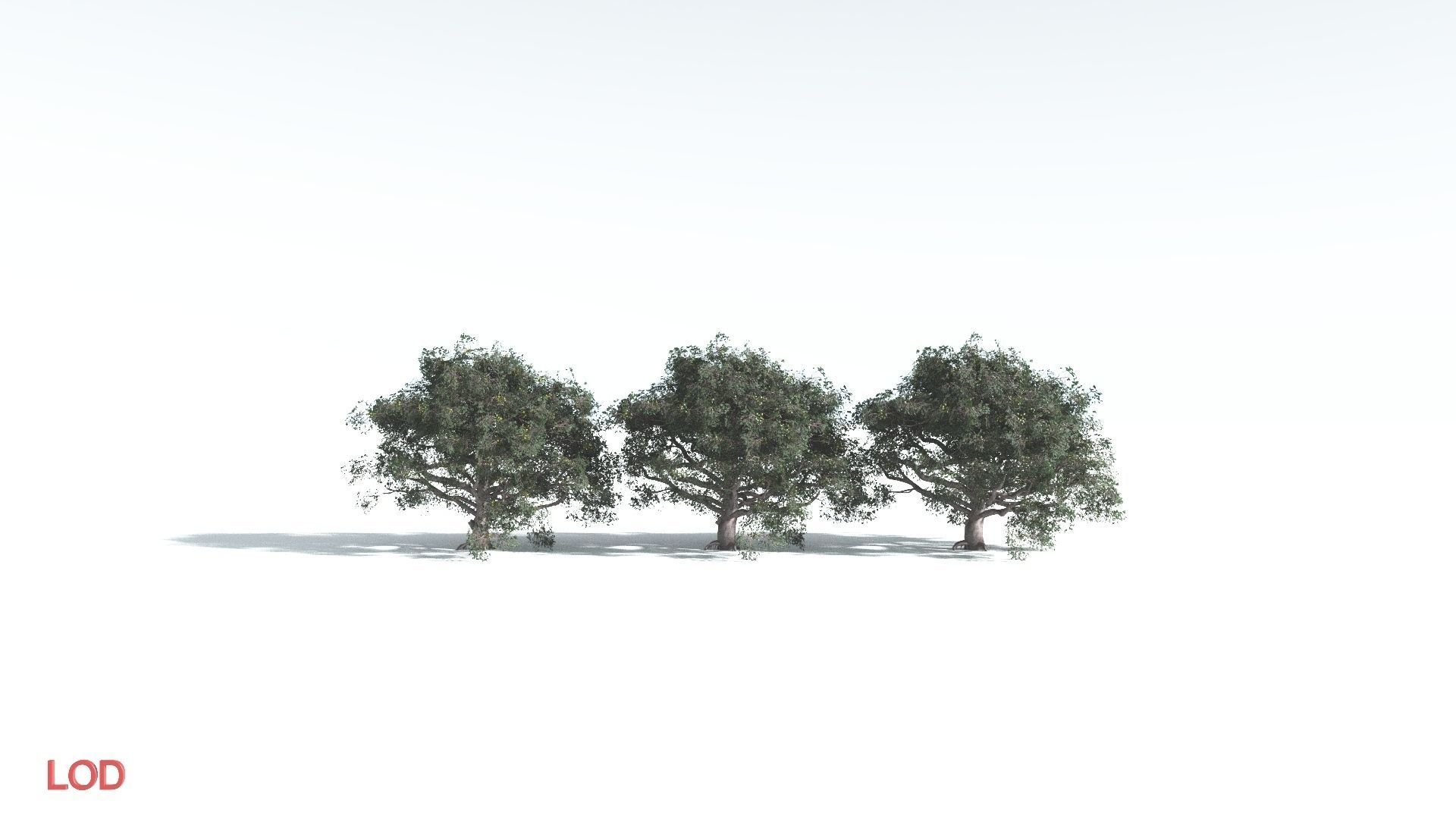 EVERYPlant Portia Tree 3 --14 Models-- 3D model_4