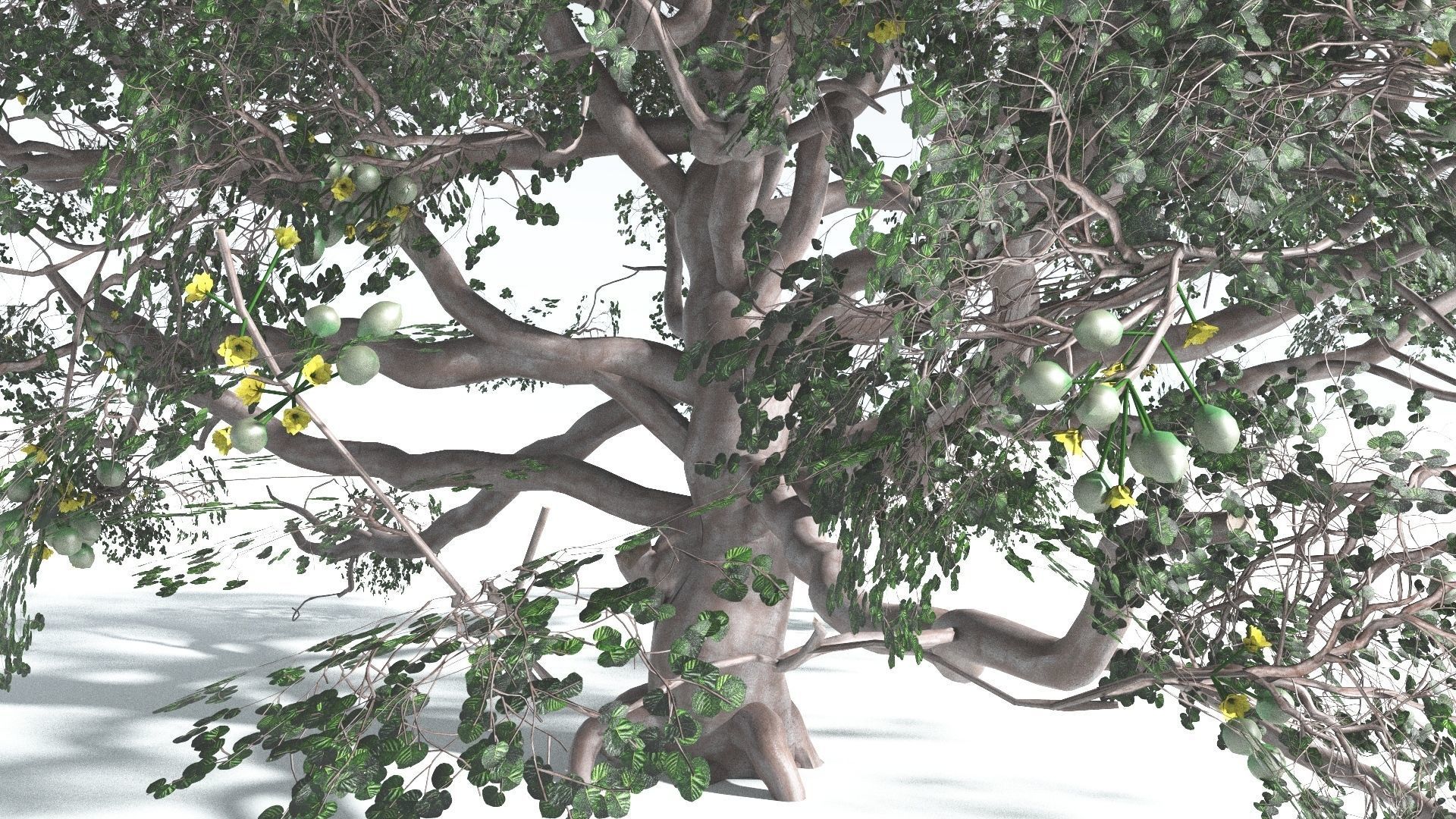 EVERYPlant Portia Tree 3 --14 Models-- 3D model_22