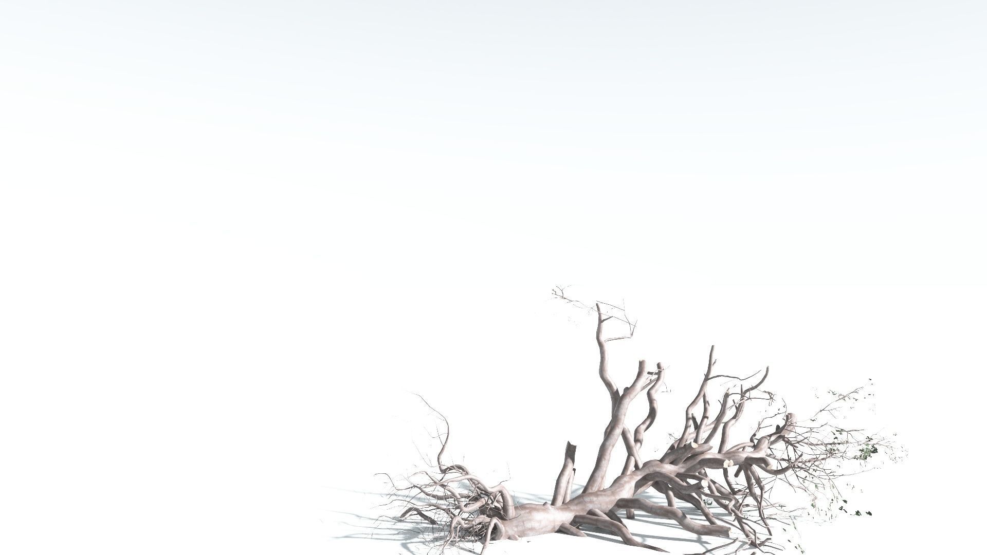 EVERYPlant Portia Tree 3 --14 Models-- 3D model_19