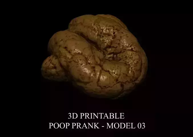 3D PRINTABLE POOP PRANK - MODEL 03 3D print model