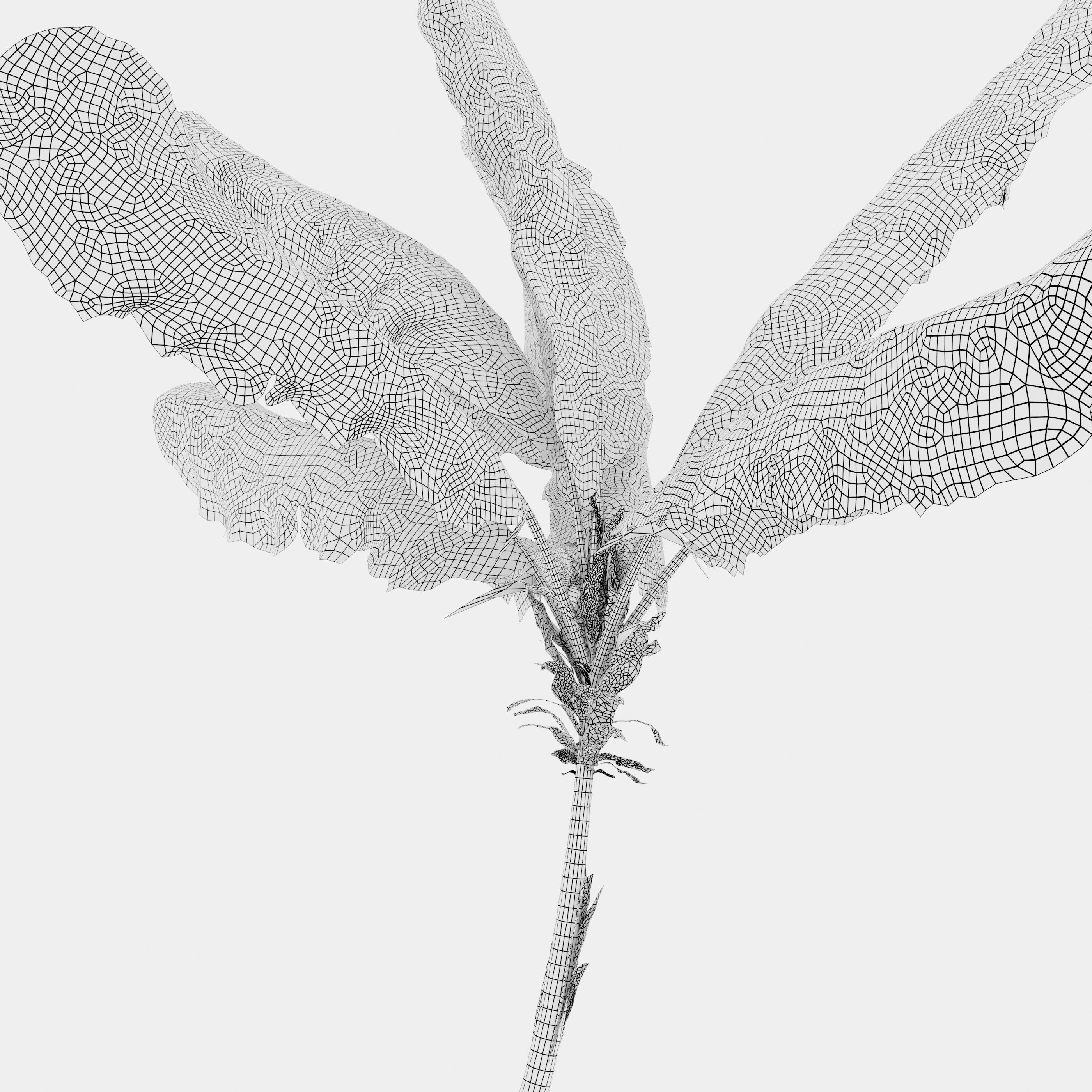 Banana tree 03 3D model_8