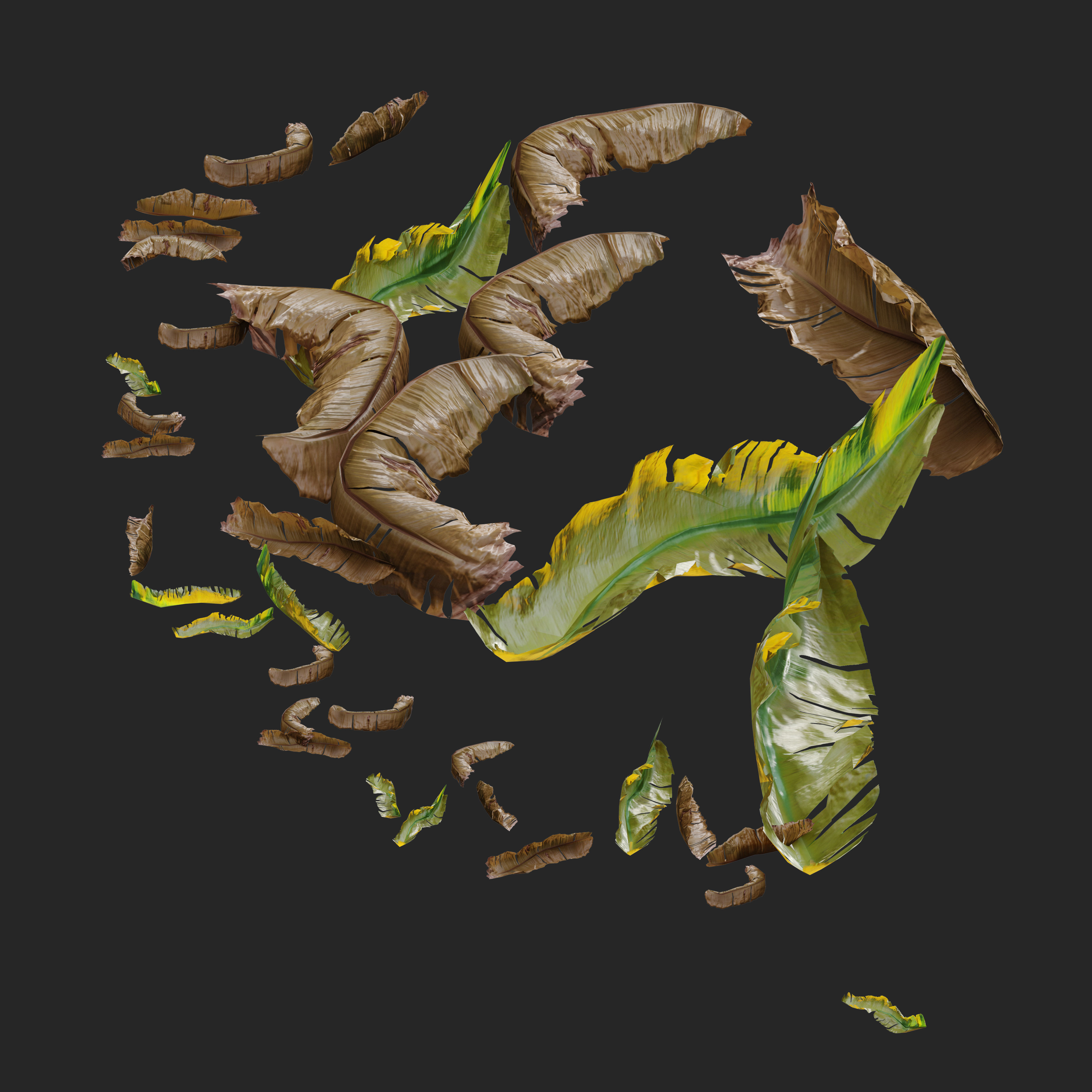 Banana tree 03 3D model_3