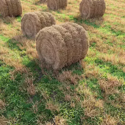 Farm field with hay bale 3 3D model