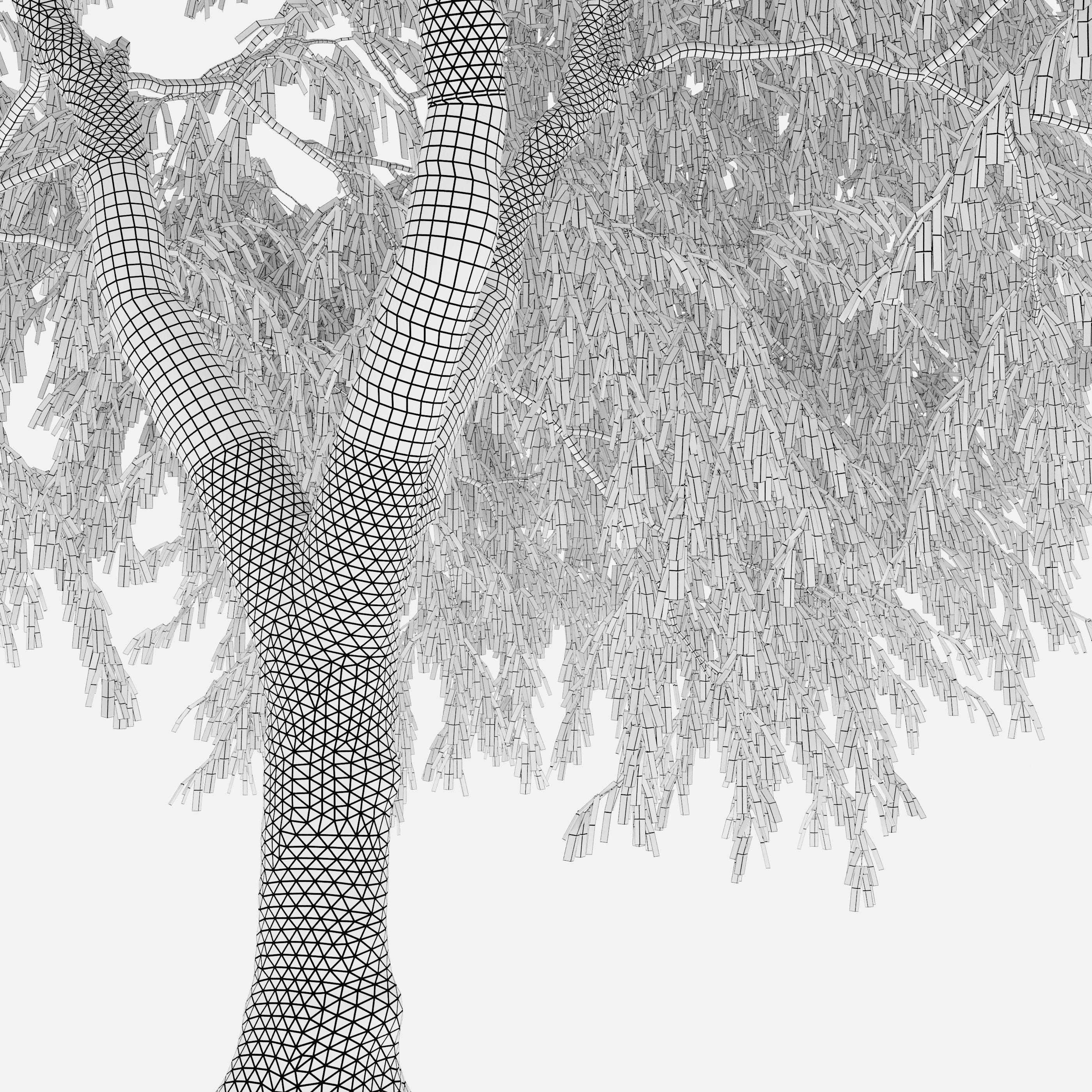 Weeping willow 04 3D model_5