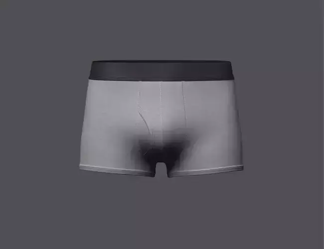 Mens Boxer Brief With Pouch