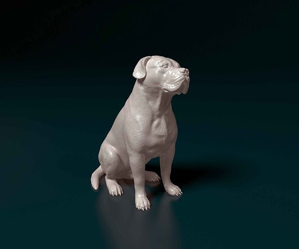American Bulldog 3D print model