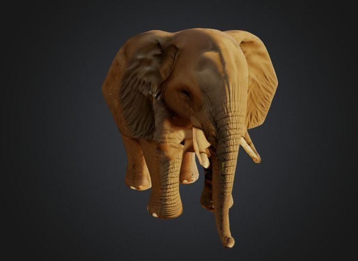 Elephant - Low-poly with 2K Textures Free low-poly 3D model_3