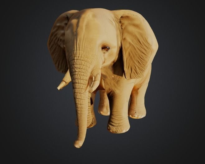 Elephant - Low-poly with 2K Textures Free low-poly 3D model_2