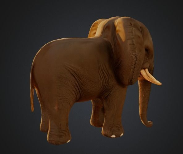 Elephant - Low-poly with 2K Textures Free low-poly 3D model_4