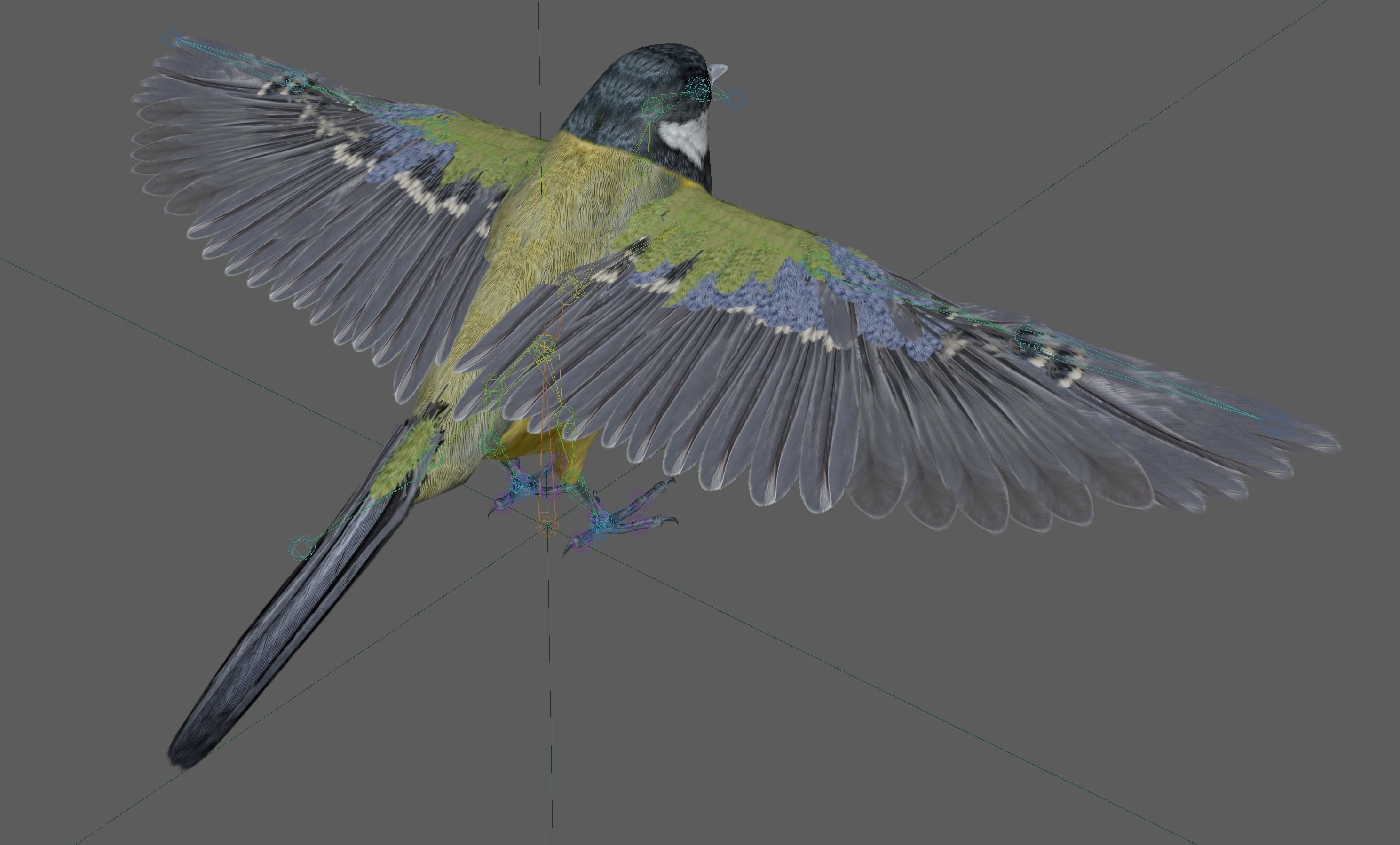Great tit bird 3D model_20