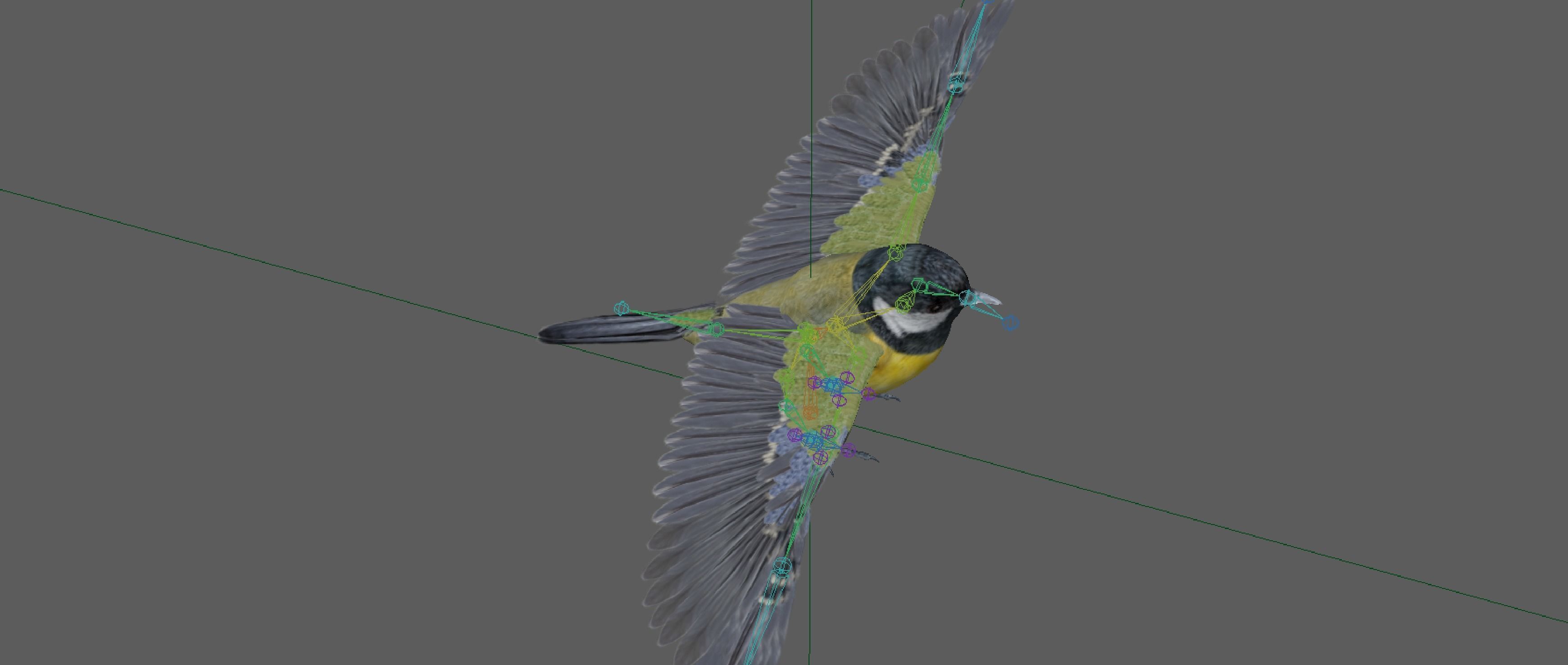 Great tit bird 3D model_13