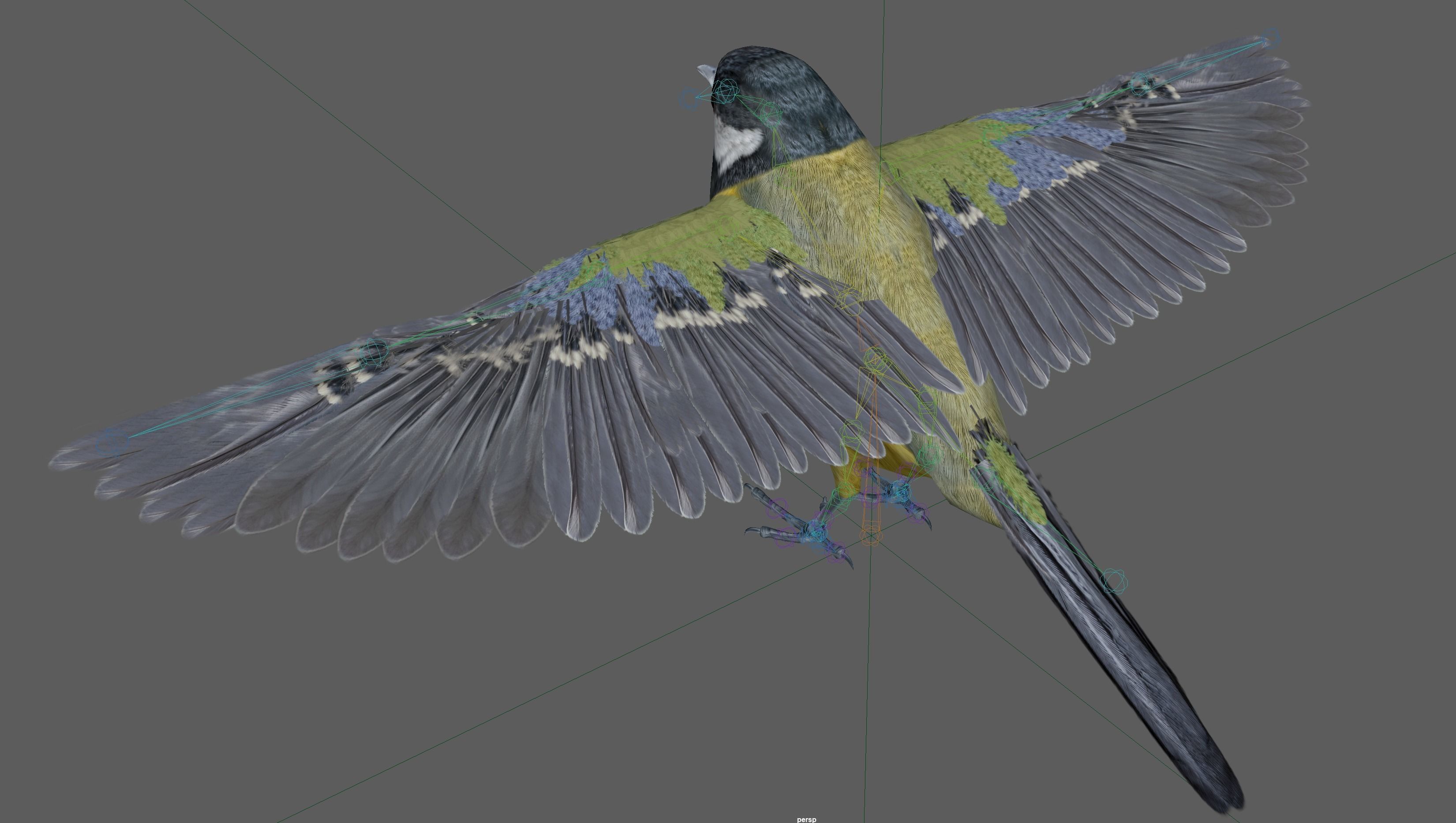 Great tit bird 3D model_21