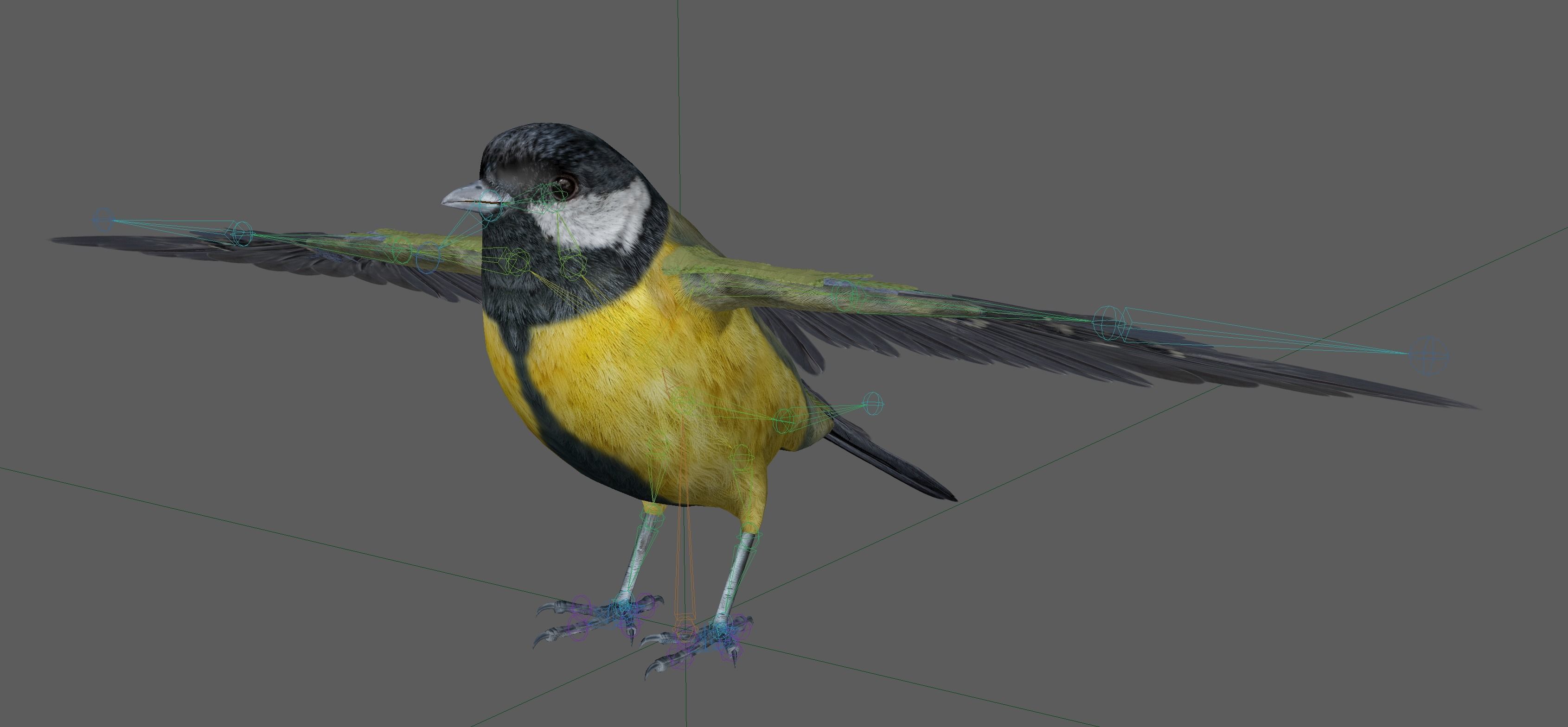 Great tit bird 3D model_10