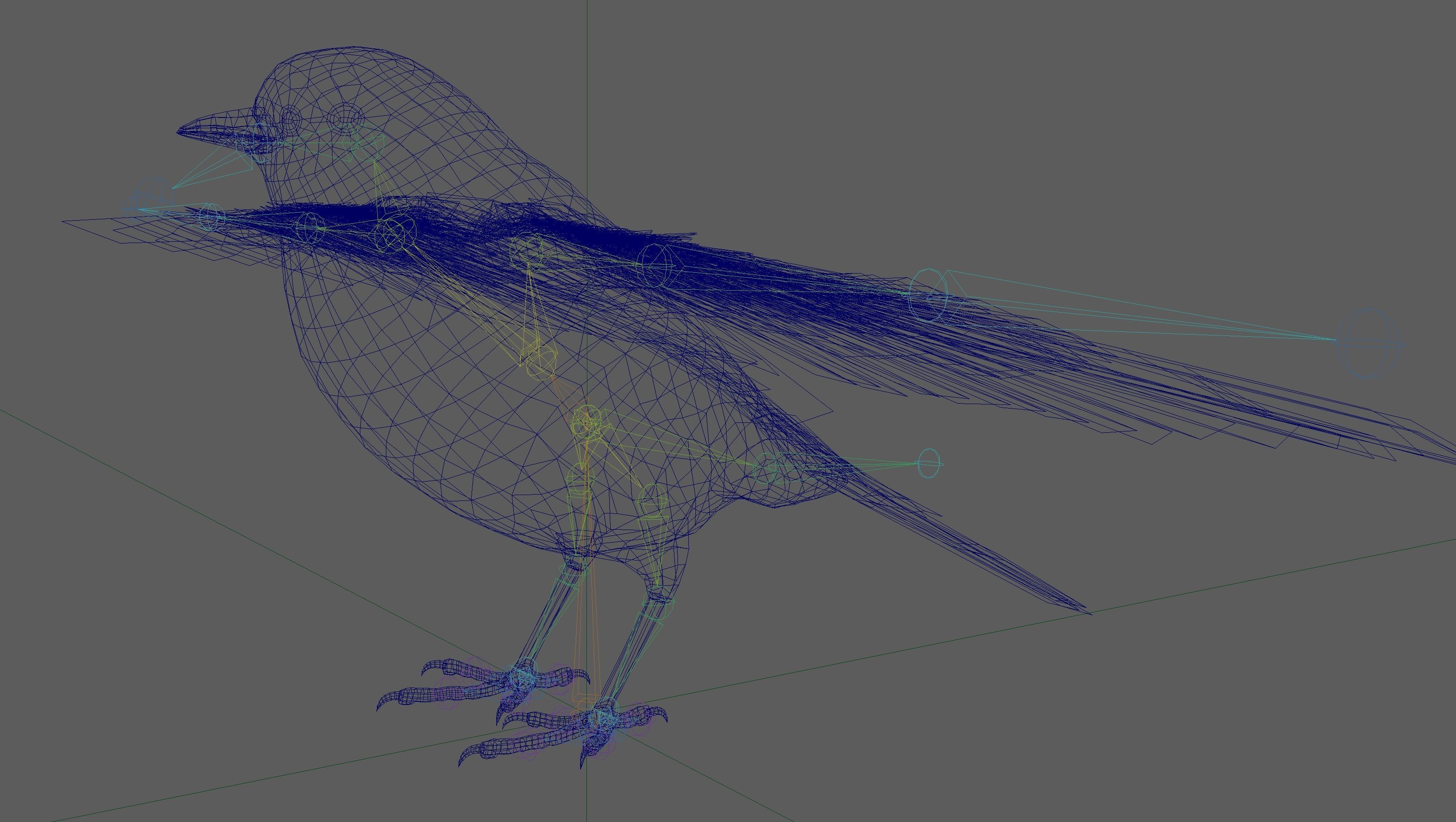 Great tit bird 3D model_16