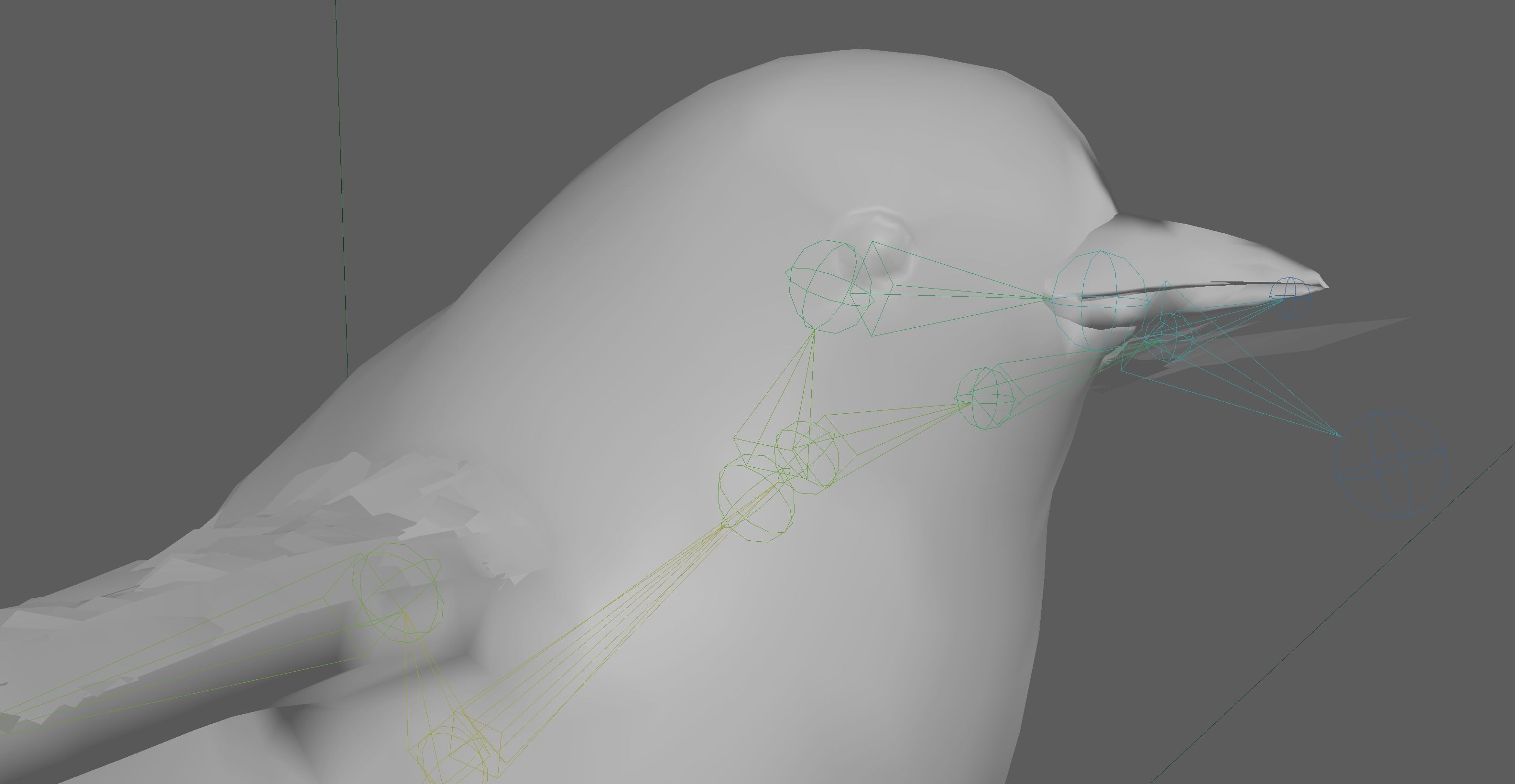 Great tit bird 3D model_23