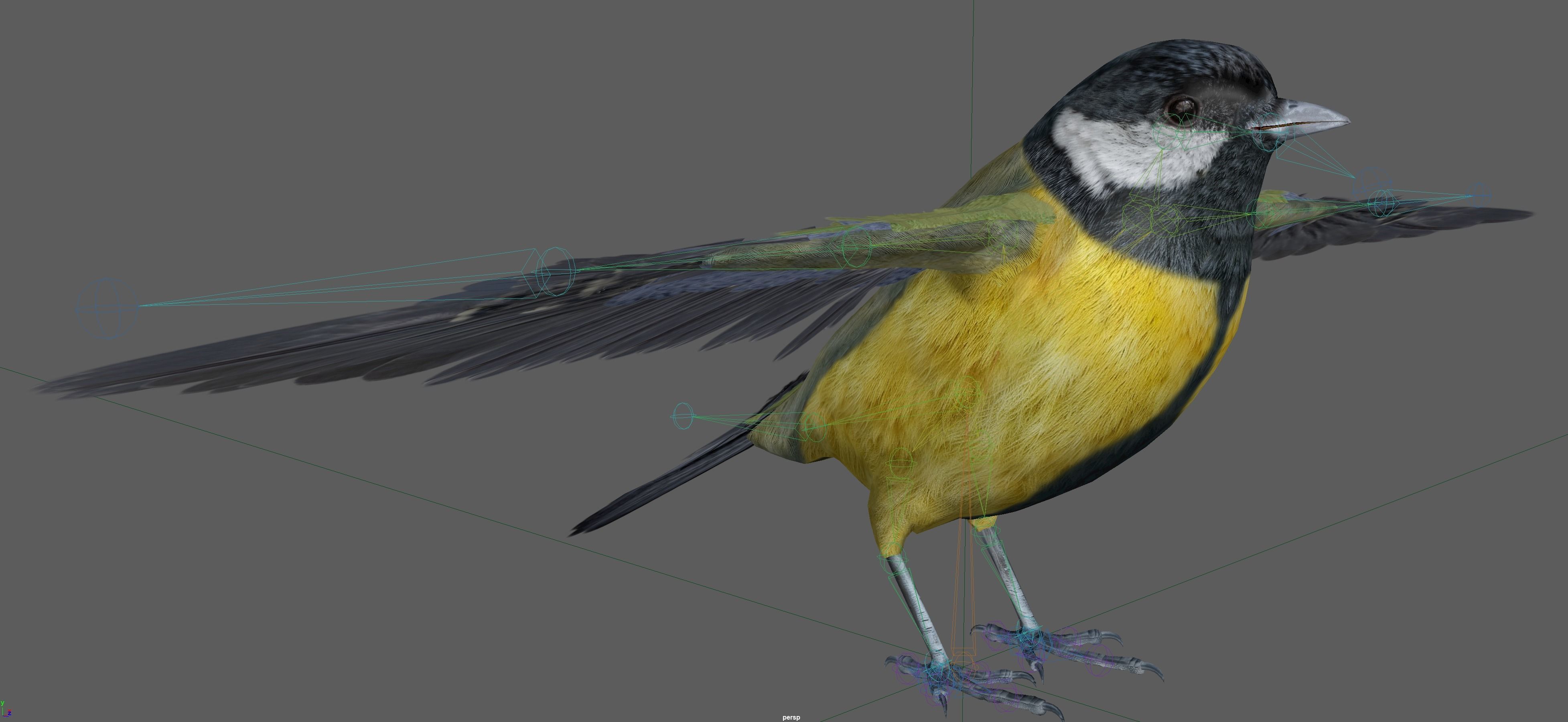 Great tit bird 3D model_18