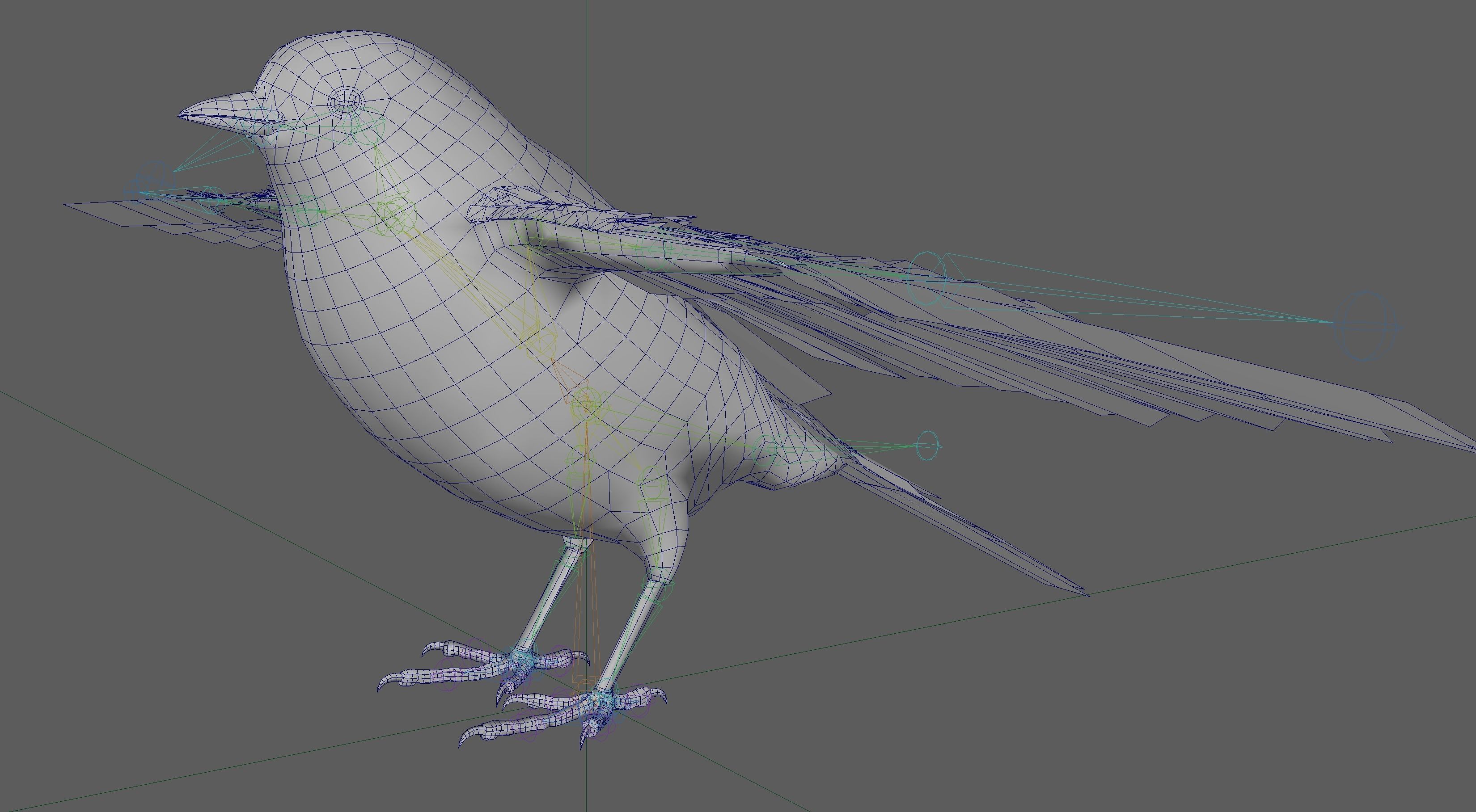 Great tit bird 3D model_15