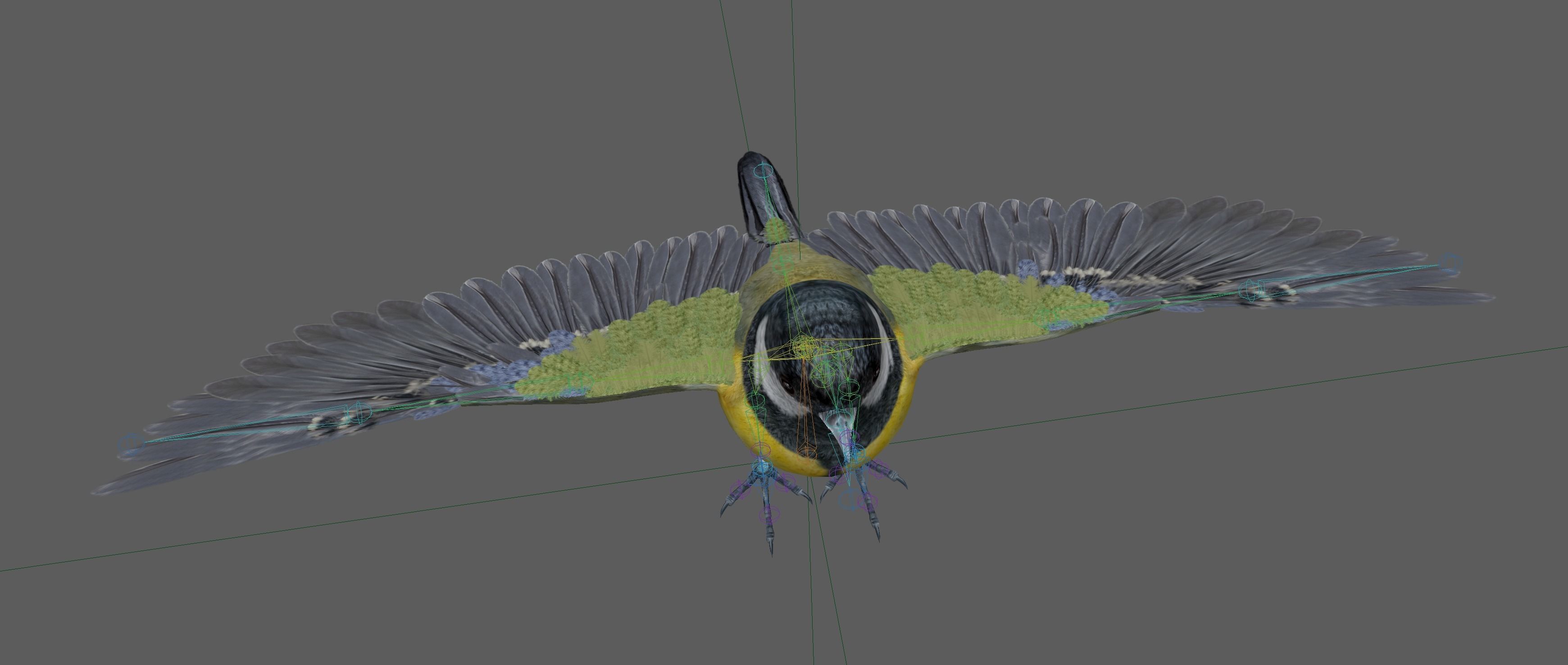 Great tit bird 3D model_12