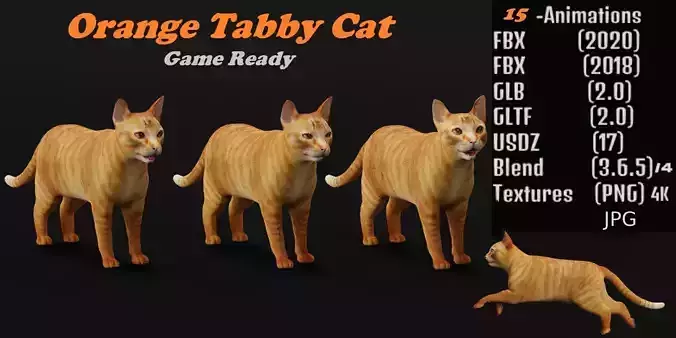 Ginger Tabby Cat