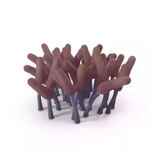 Arcyria cinerea mushrooms