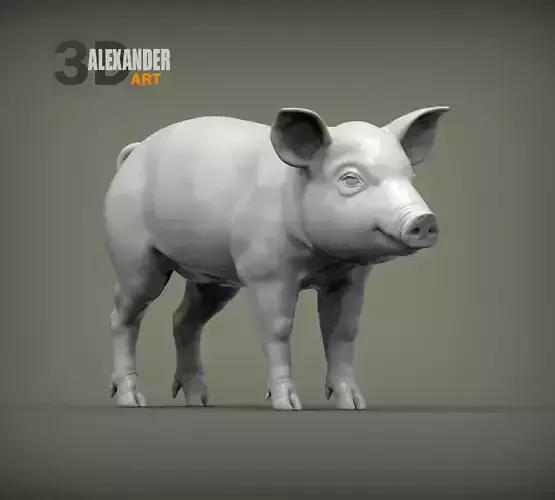 Baby pig stands