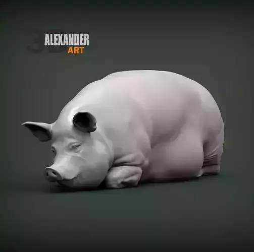 Lying pig