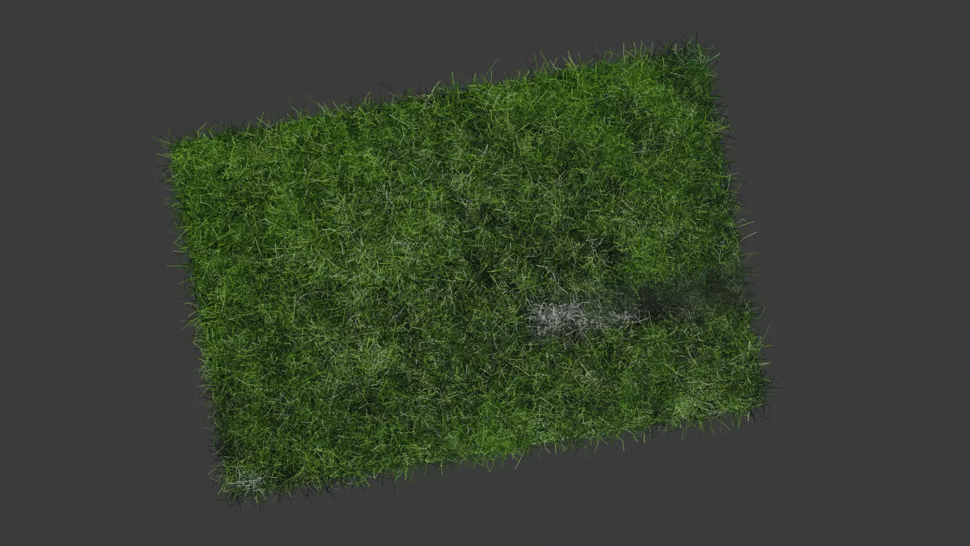 Grass 3D model