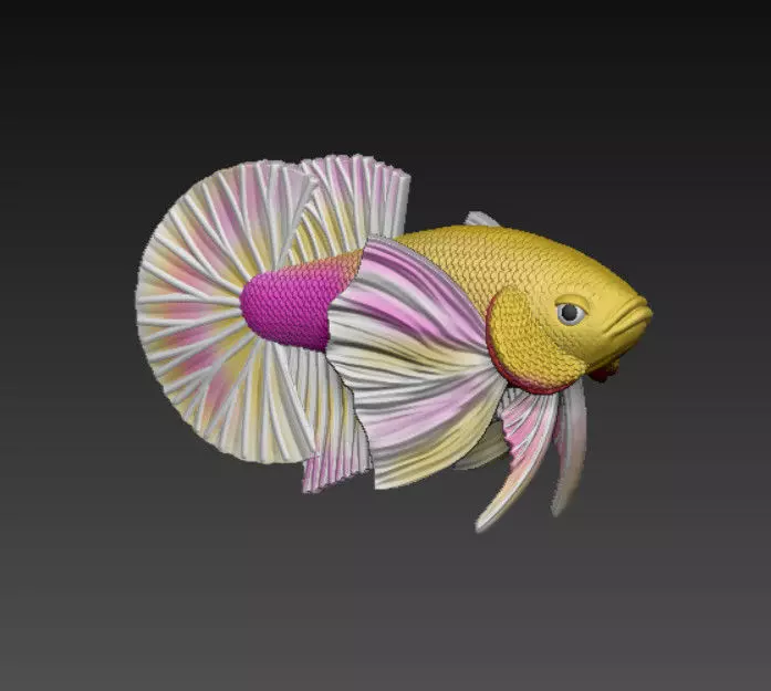 BETTA FISH DUMBLE - READY FOR 3D PRINTING 3D print model